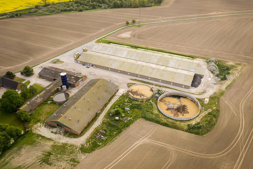 Pig production and stables at the village of Rislev outside Næstved, close to a protected NATURA 2000 area